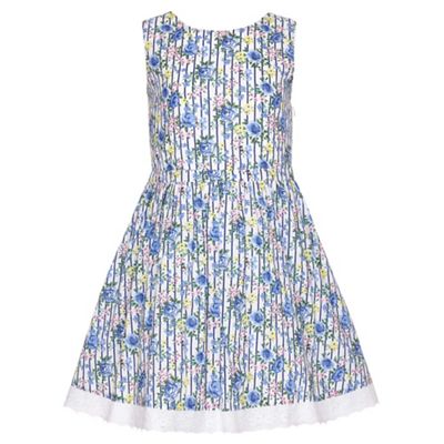 blue Floral Stripe Sleeveless Party Dress